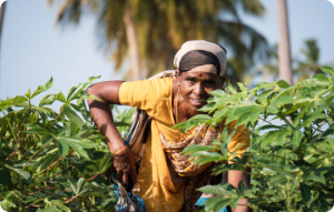 If you think all natural and organic are the same, read this blog